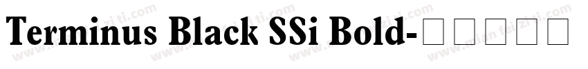 Terminus Black SSi Bold字体转换